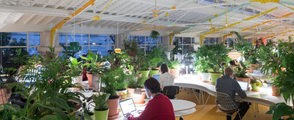 Second Home coworking space in London