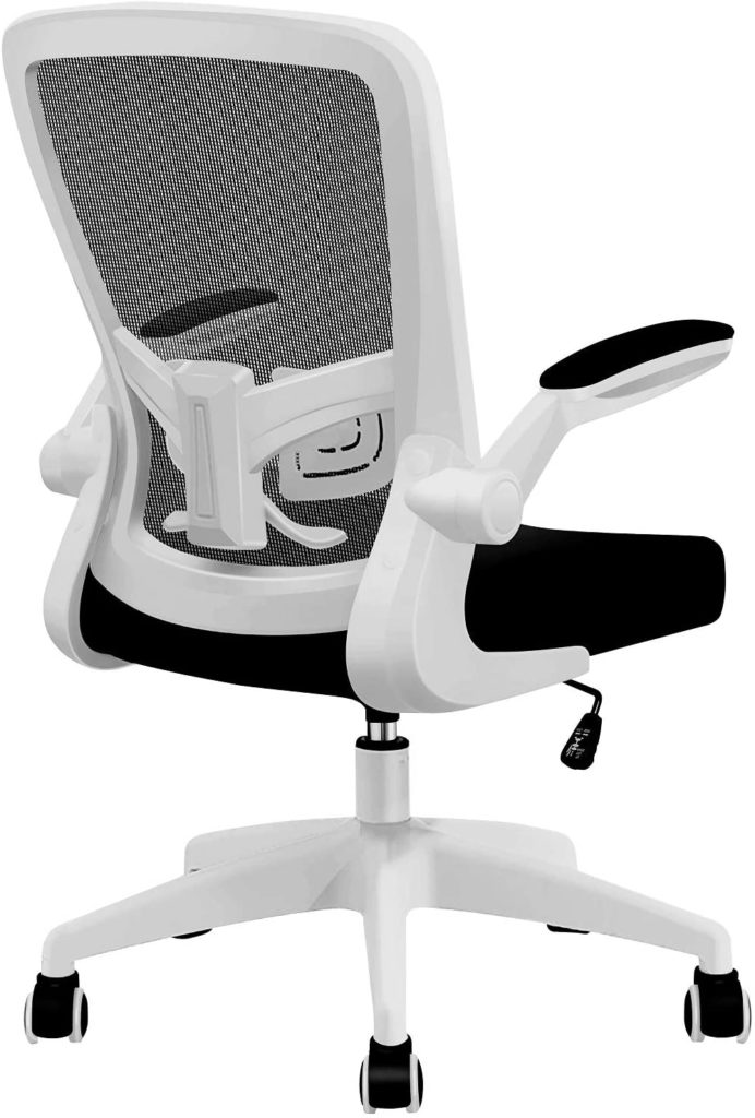 FelixKing Ergonomic Desk Chair 