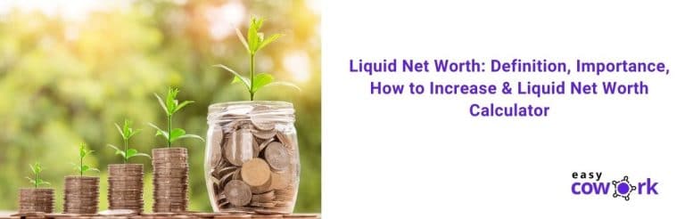liquid net worth