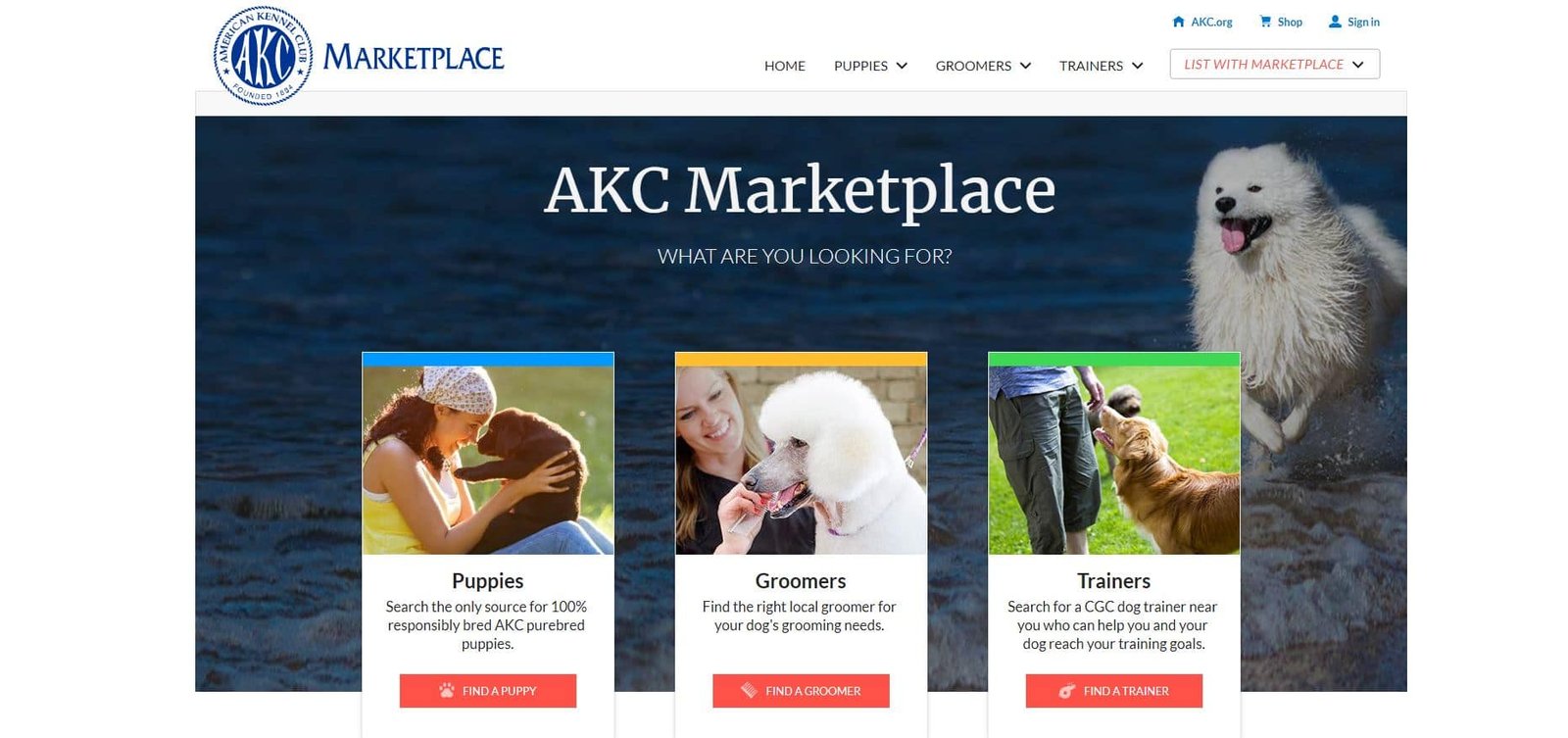 AKC Marketplace Reviews, Fees, Features, Requirements & How to Make Money