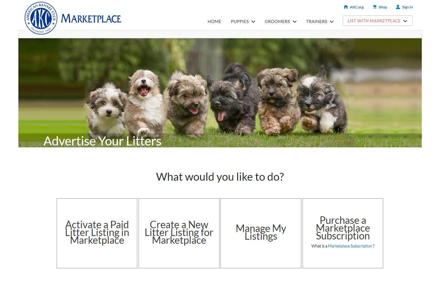 AKC Marketplace Reviews, Fees, Features, Requirements & How to Make Money