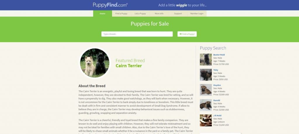 PuppyFind Homepage