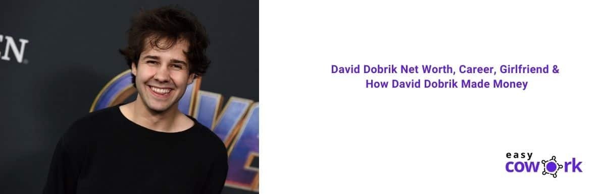 David Dobrik Net Worth Worth