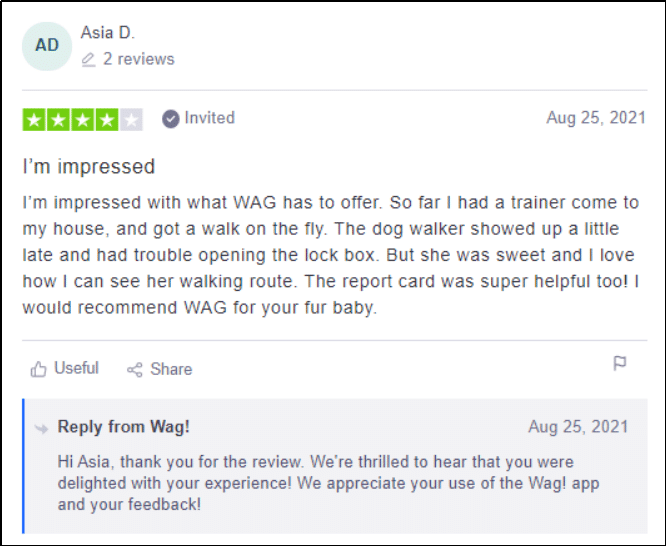 Wag Positive Review