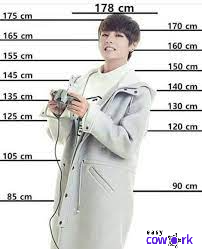 Kim Taehyung Height