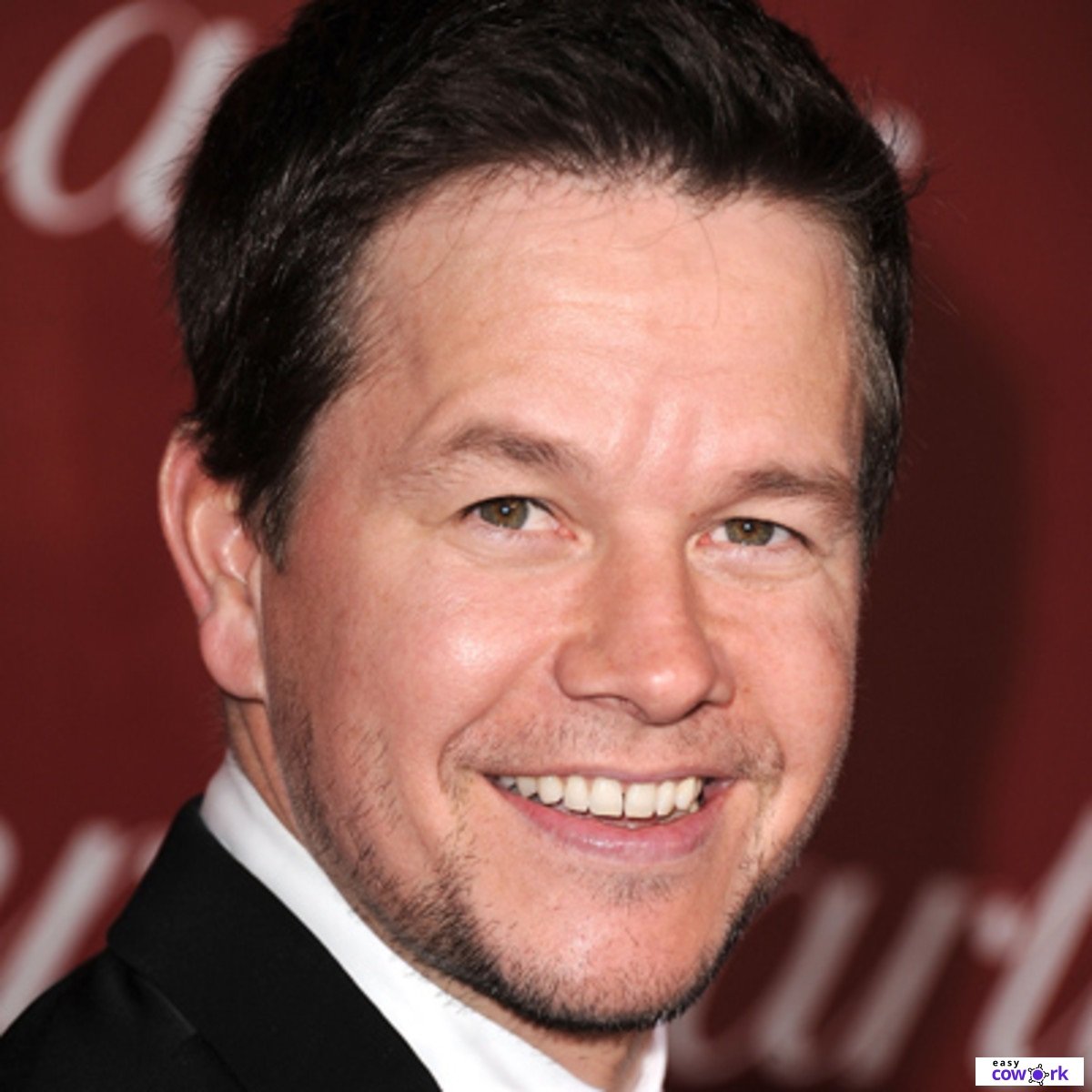 Mark Wahlberg Net Worth, Early Life, Wife, How Mark Wahlberg Made Money