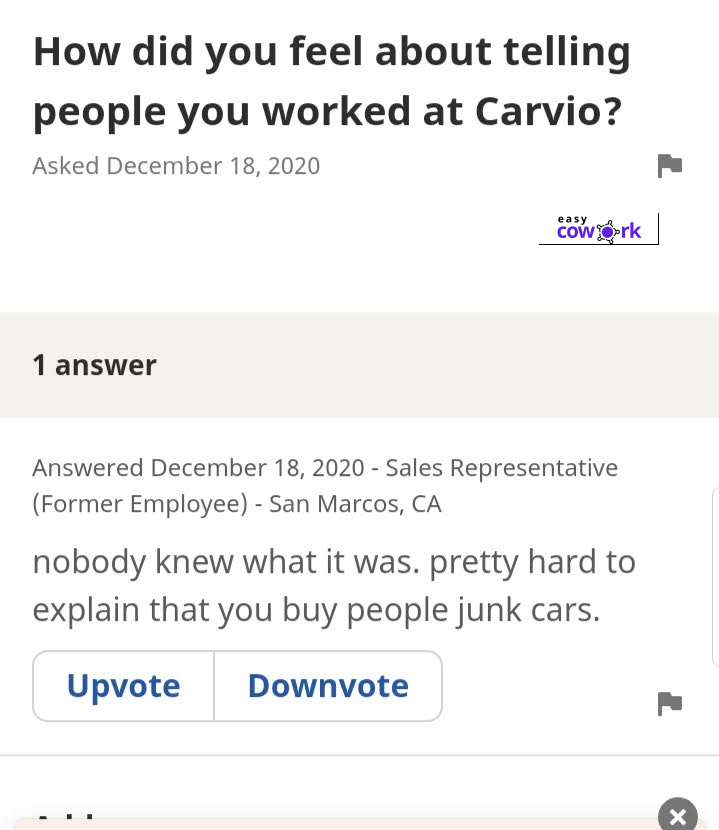 CarVIO employee review