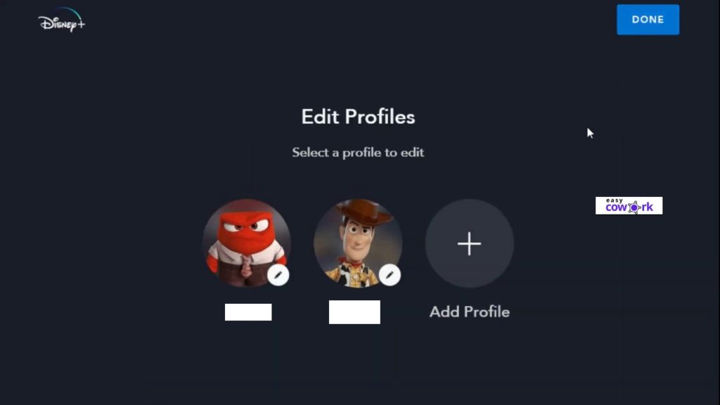 Disney Plus Profiles 