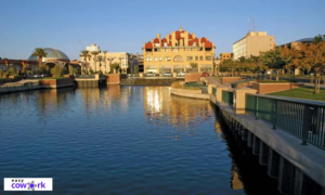 209 Area Code: Location, Scams & How to Block