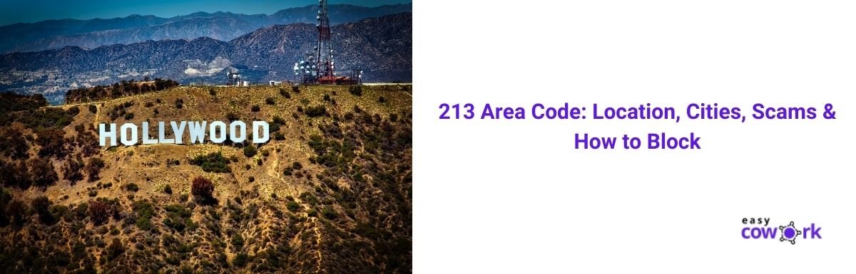 What State Does Area Code 213 Come From