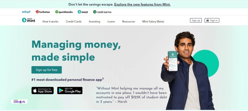 Mint website