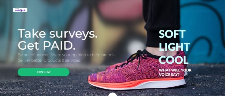 Survey Junkie Review Pros Cons How Much Can You Earn 2022 