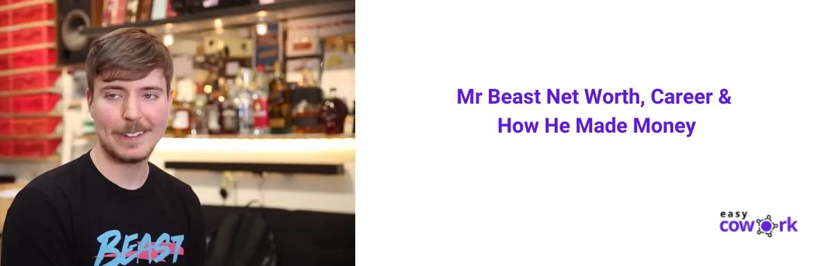 Mr Beast Net Worth, Career & How He Made Money